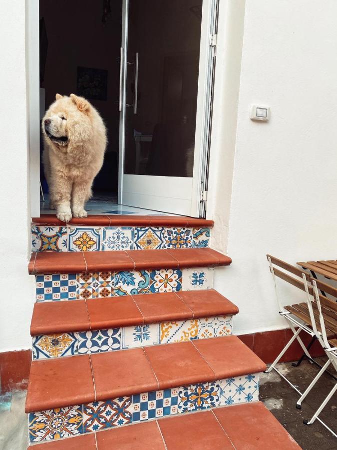 Vietri Casa Vacanza Le Tre Sorelle מראה חיצוני תמונה